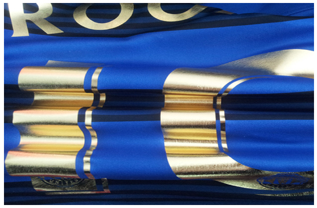  FLEXPATTERNS METALLIC STRETCH- 1 Roll 20 In X 10 Verges